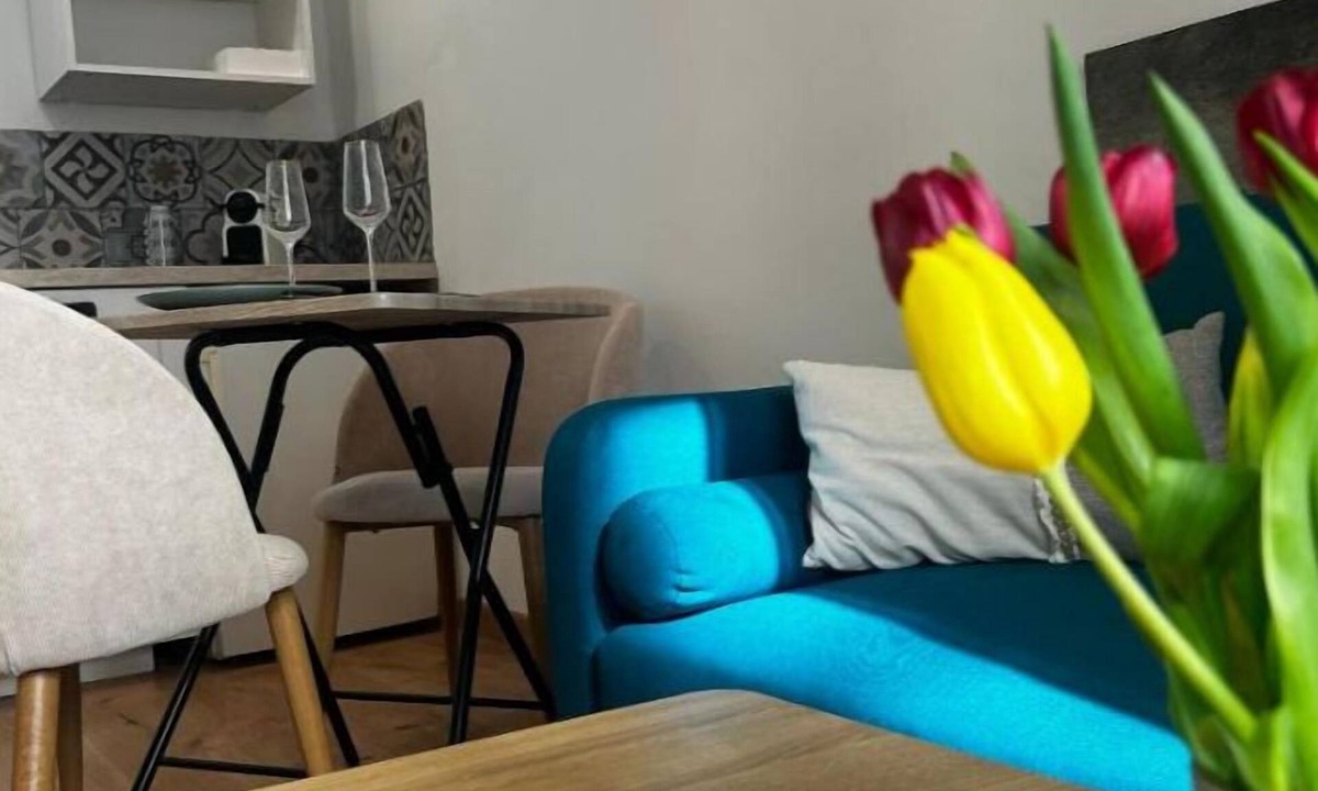 Quartier du Port Apartment | Appartement 1 Chambre