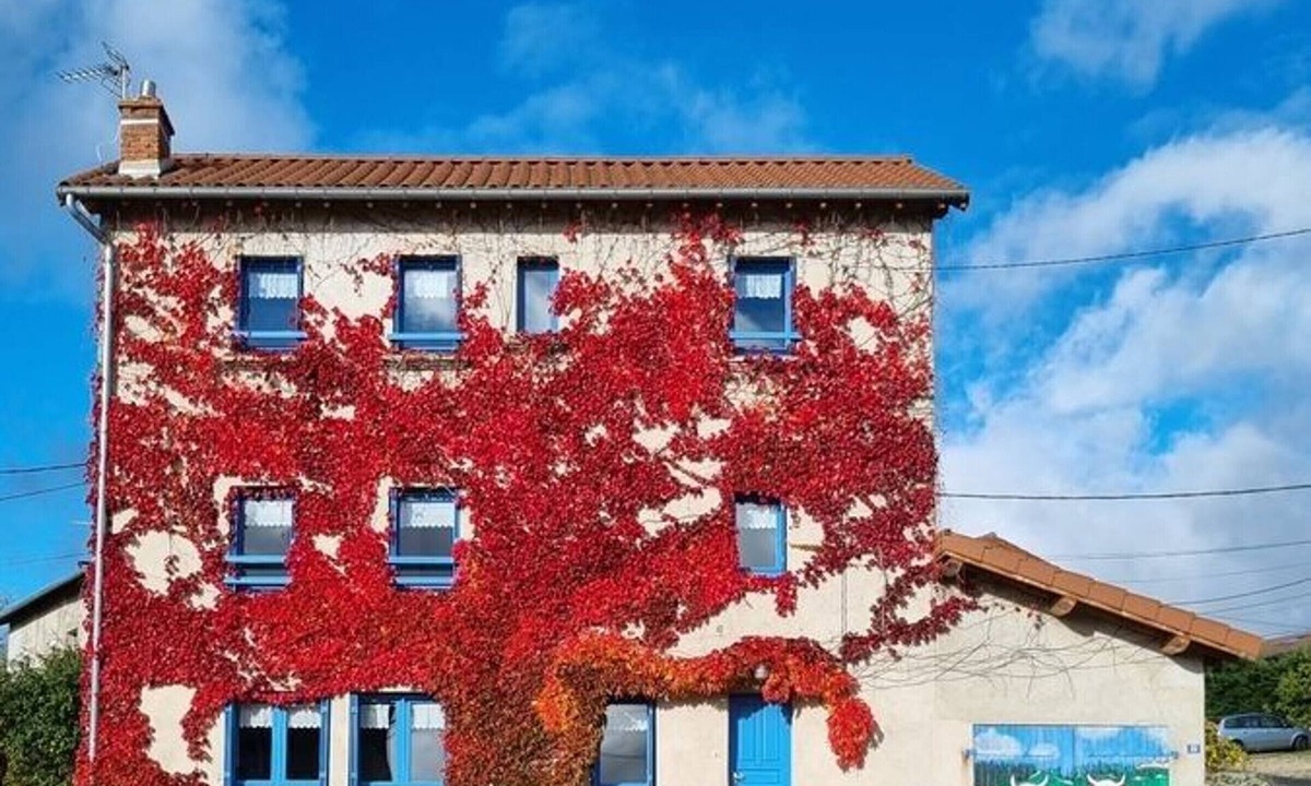 Saint-Pierre-du-Champ Cottage | Charming Cottage: 4 Bedrooms, Fireplace, Enclosed Courtyard & Garage in Tranquil Village