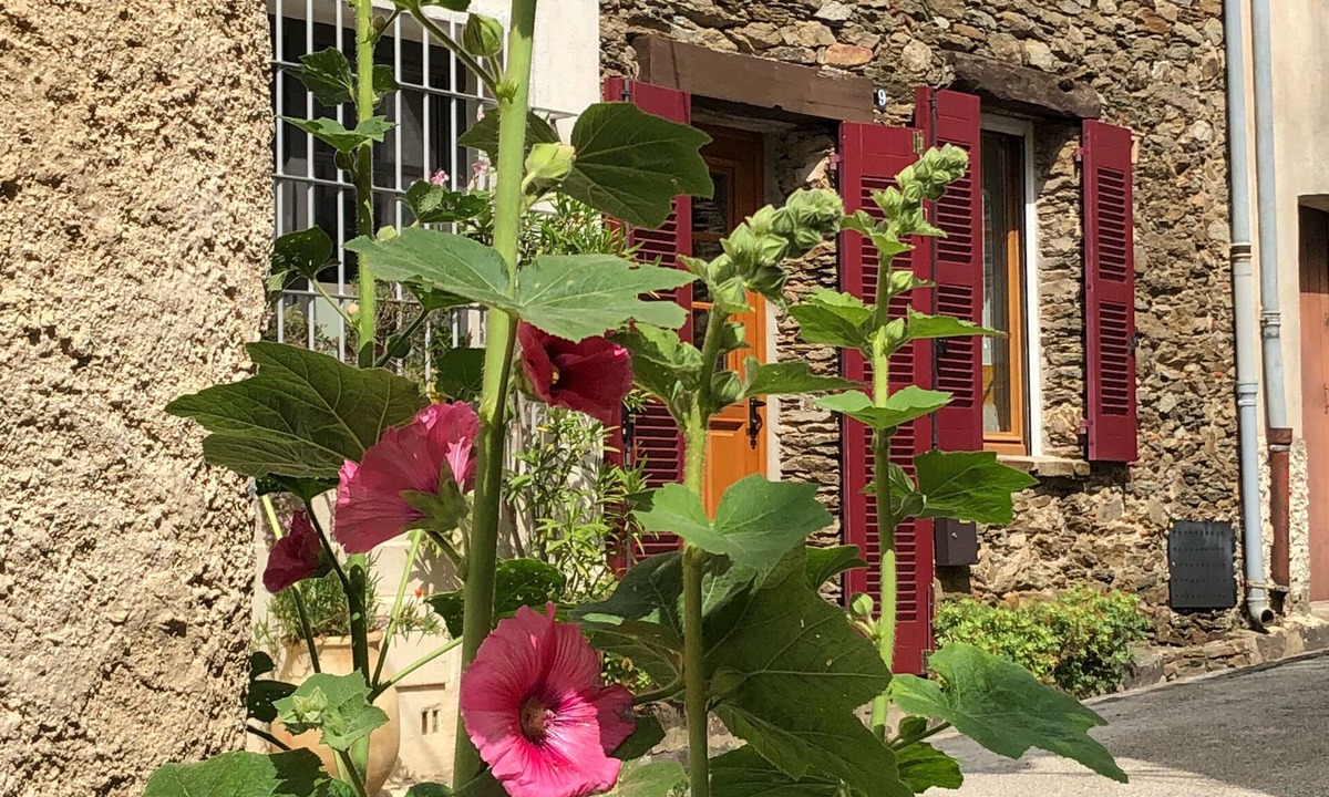 La Garde-Freinet House | Charming Provencal stone house with roof terrace and fantastic distant view