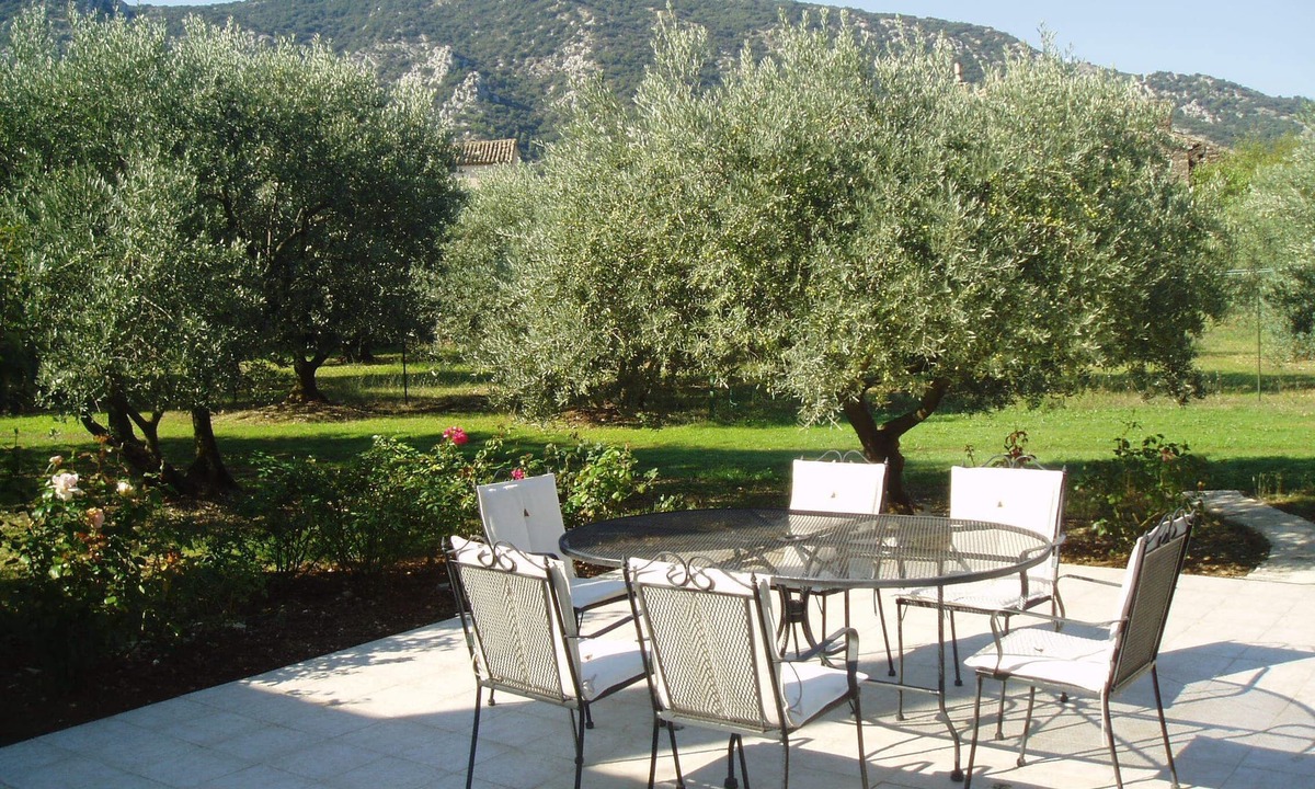 Maubec House | Danie, house of olive trees and view of the Luberon