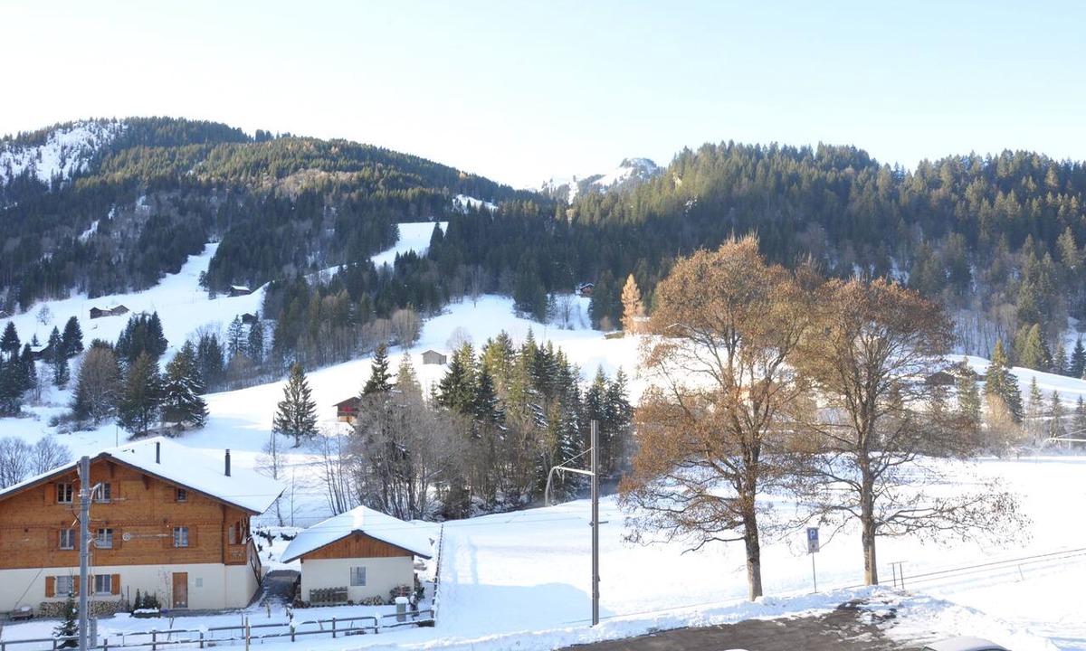 Ormont-Dessus Hotel | Hotel Le Chamois