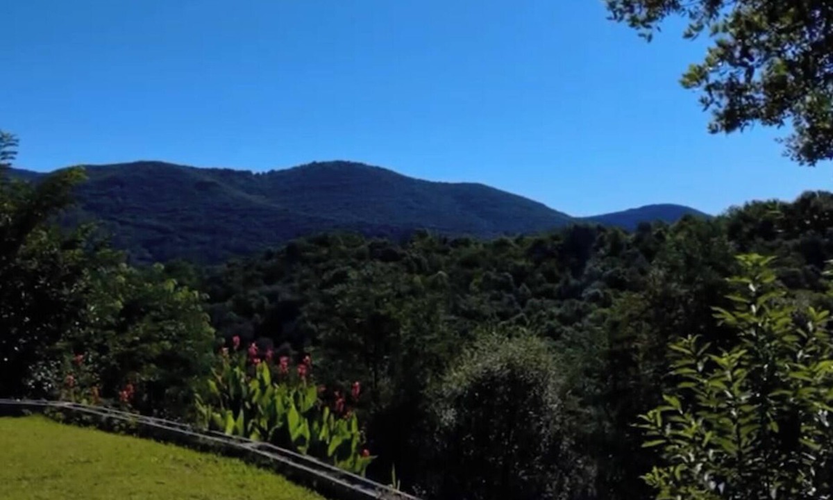 Saint-Jean-du-Gard House | House with swimming pool in the heart of nature