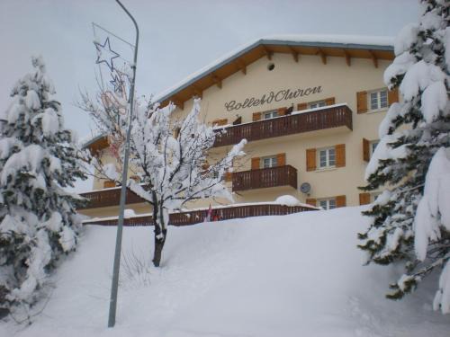 Saint-Etienne-de-Tinee Hotel | Le Collet d'Auron