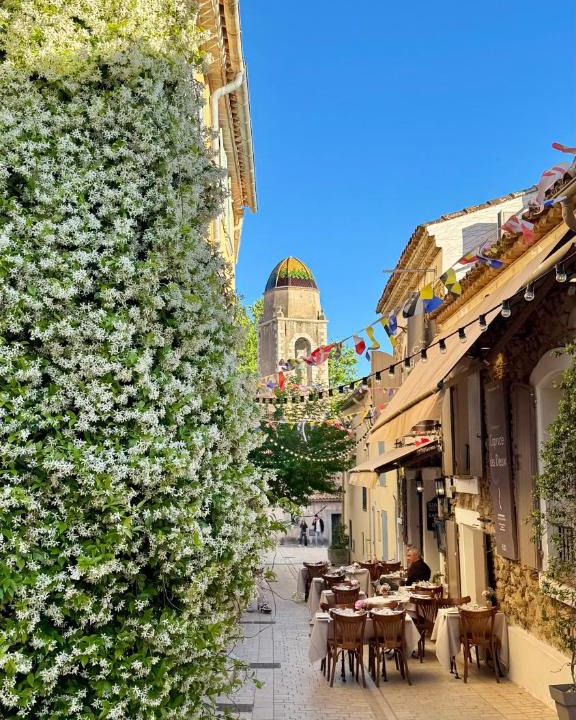 Old Town Apartment | Le Figuier du Clocher - Cœur du vieux village