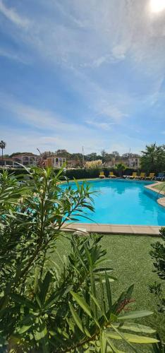 Port Cogolin Apartment | Lemon house location with view