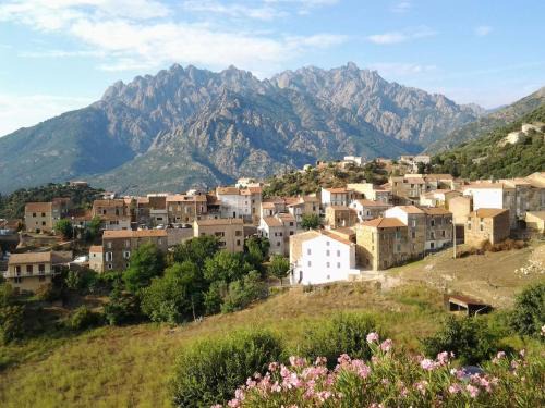 Moltifao House | Maison de village
