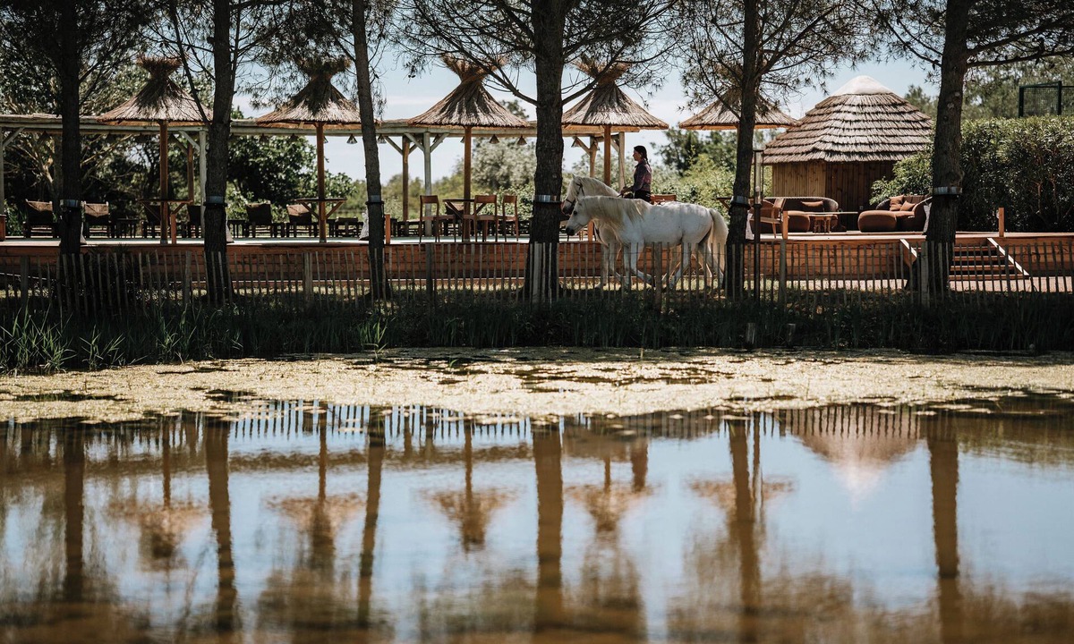 Saintes-Maries-de-la-Mer Other | MAS DE DARD, Provence Estate, Heated Pool,Pickleball ans Private Lagoon,12 rooms