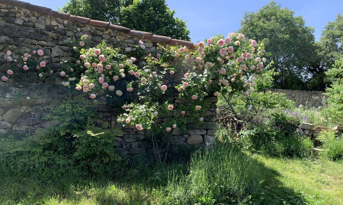 Lambesc House | Mas en Provence Entièrement Rénové Pour des Vacances Familiales de Rêve