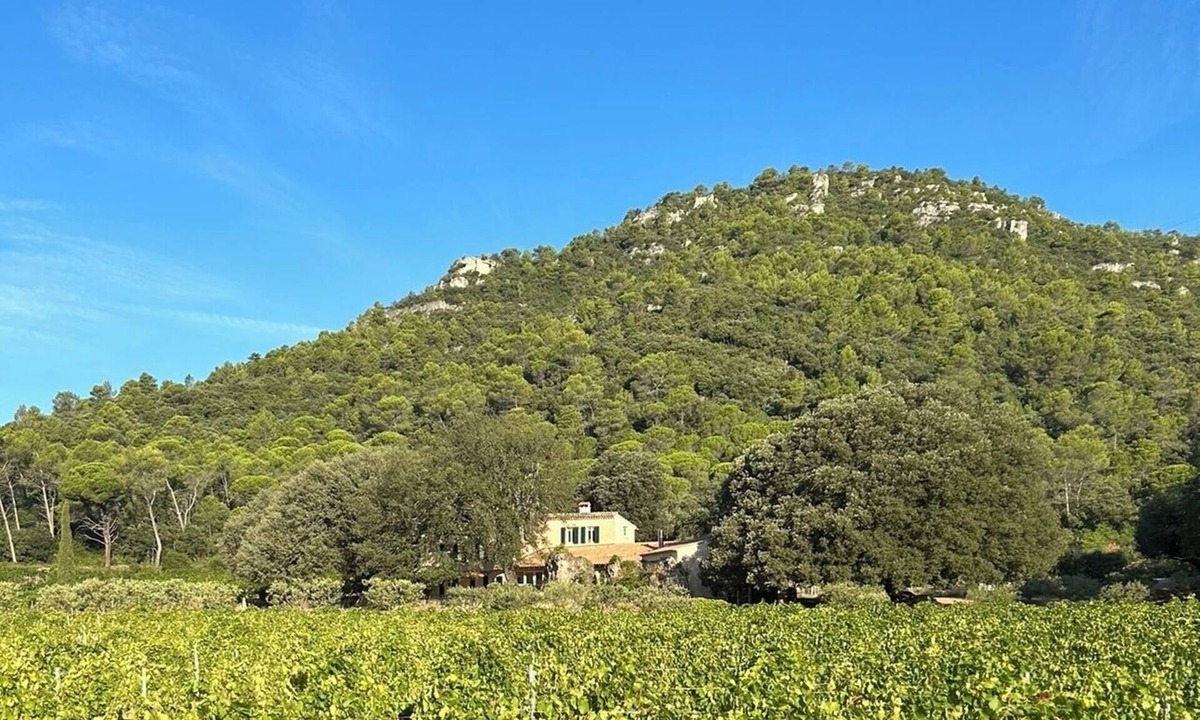 Meounes-les-Montrieux House | Rent house in the middle of the vineyards in Provence Verte