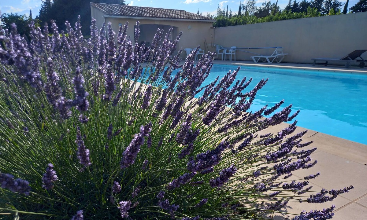 Aubignan Apartment | Rental for 2p in quiet wooded park with swimming pool, possibility for 4p