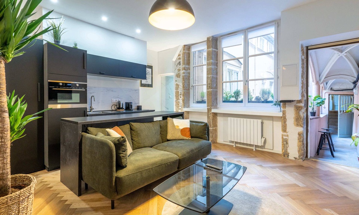 Les Cordeliers Apartment | Rue Mercière, Terrace, Hypercentre, Lyon