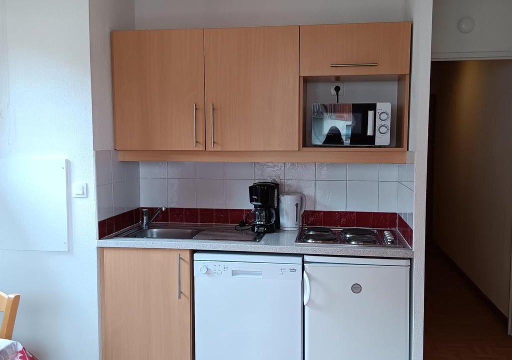 Puy-Saint-Vincent Apartment | Studio 4 Pers avec Balcon et Local Ski à Puy-Saint-Vincent - FR-1-504-303