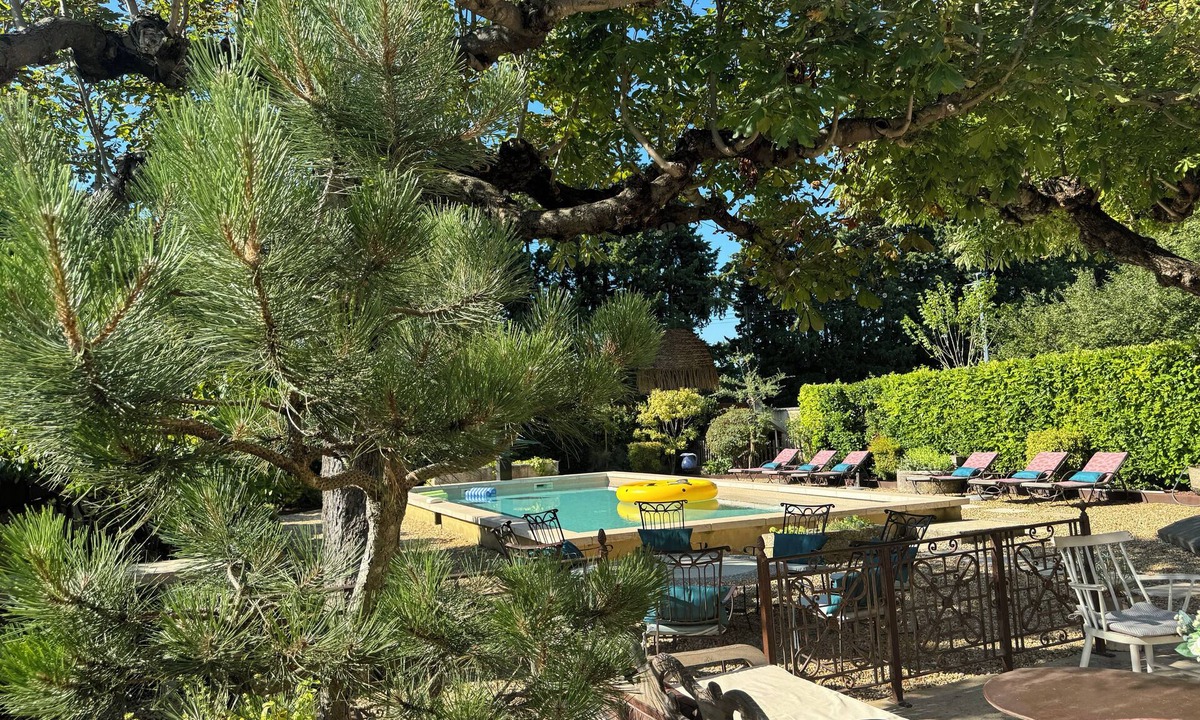 Verquieres Villa | Villa SQUIRREL, located between St. Rémy and Noves. What a beautiful pool!