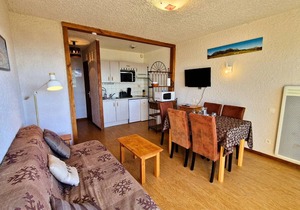 Apartment 6 pers, south balcony, WiFi, pets allowed, parking