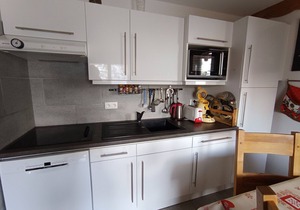 Comfortable apartment, large south-facing terrace, close to slopes, pets and parking