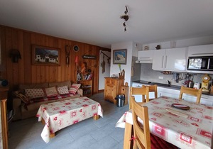Comfortable apartment, large south-facing terrace, close to slopes, pets and parking