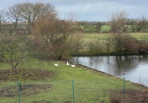 Fehmarn 17-2 in Fehmarn