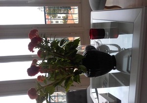 MAGNIFICENT 3 ROOMS PANORAMIC VIEW CITY PRIVATE PARKING