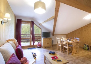 Wifi, swimming pool, terrace, balcony, tv, ski locker, 25-30m², Valmeinier