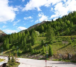 Fdn Isola 