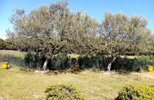 Ramatuelle Villa | Villa with swimming pool in Ramatuelle - plaine de Pampelonne