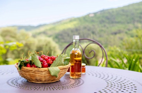 Le Bar-sur-Loup House | 38 m² House ∙ 2 bedrooms ∙ 6 guests