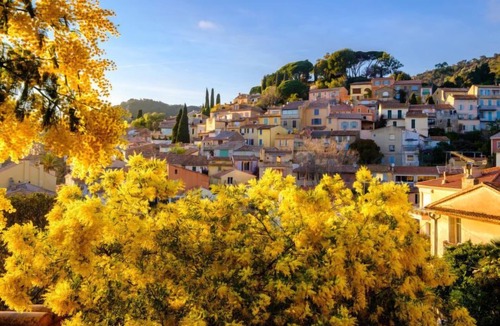 La Faviere Apartment | Apartment Les Dunes in Bormes-les-Mimosas - 2 persons, 1 bedrooms