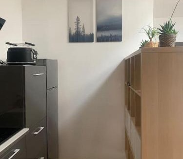 Saverdun Apartment | Appartement Cosy et CLIMATISÉ en Centre VILLAGE