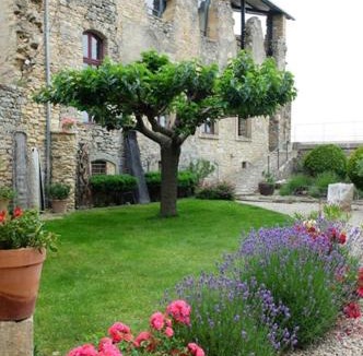 Venejan House | Artist's Château With Ruins In Gard