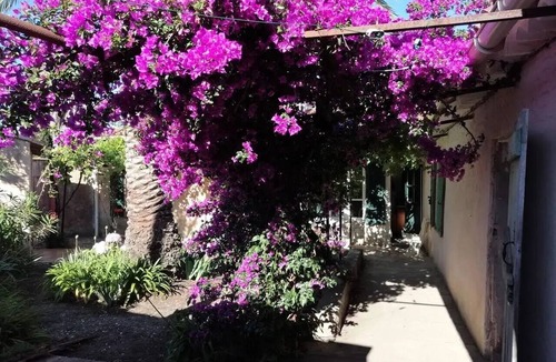 Porquerolles Villa | Authentic Villa in Porquerolles – The Spirit of Vacations of Yesteryear