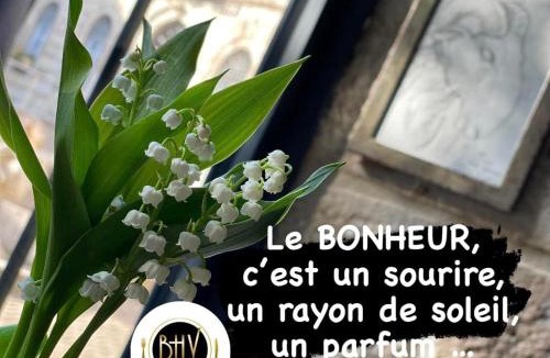 Saint-Affrique Apartment | Bhv Appartement Calme & Lumineux