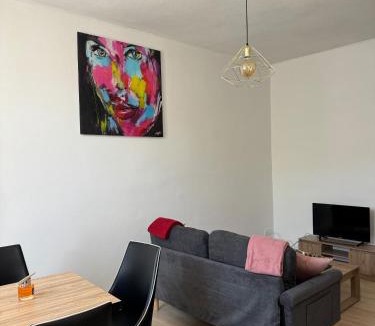 Saint-Affrique Apartment | Bhv Appartement Calme & Lumineux