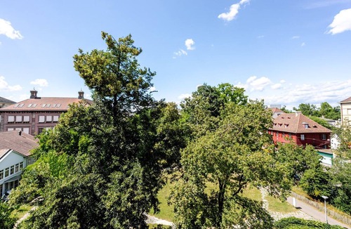 Vorstadte Apartment | Blueground | Basel-Vorstaedte, view, nr Rhine