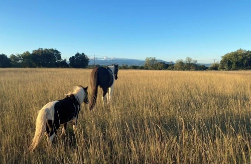 Jouques House | Bohemian caravan in the heart of nature with horses and donkeys