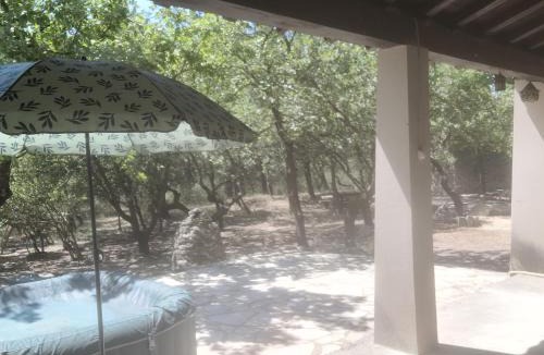 Velleron House | Borie en Provence
