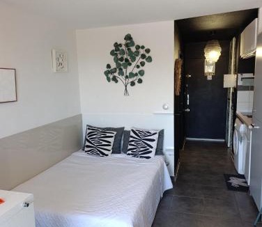 La Valsiere Apartment | CADUCÉE Studio climatisé balcon ensoleillé parking proche Montpellier