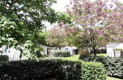 Rosieres House | Camping les Hydrangeas * - Mobile Home 3 rooms 4 people