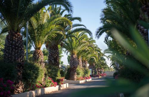 Vias Other | Camping Officiel Siblu La Carabasse