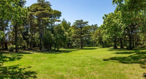 Saint-Hippolyte-le-Graveyron Bed & Breakfast | Château Juvenal