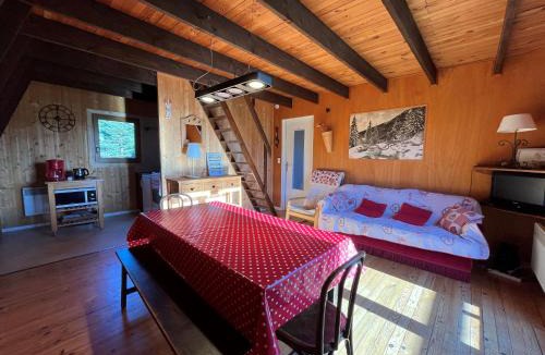 Lans-en-Vercors Ski Chalet | Chalet atypique de charme - 6 pers., garage - FR-1-761-33