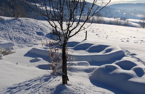 Villard-de-Lans Ski Chalet | Chalet 'Les Castors' with Mountain View, Private Pool and Wi-Fi