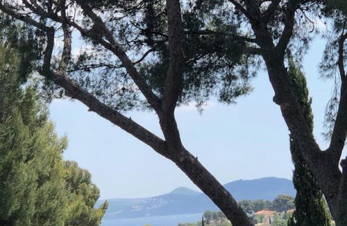 La Ciotat Bed & Breakfast | chambre d'hôtes villa tigre LA CIOTAT Quartier résidentiel