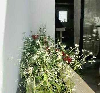 Aumelas House | Charmant duplex avec jacuzzi