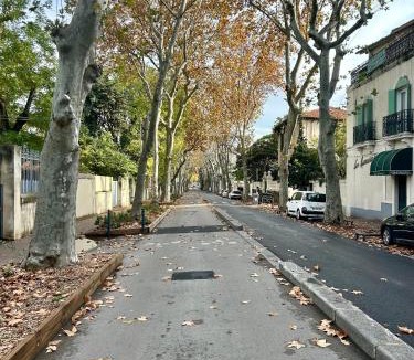 Boutonnet Apartment | Charmant T2 avec grande terrasse - Tram à 50m - Centre 10mn à pied