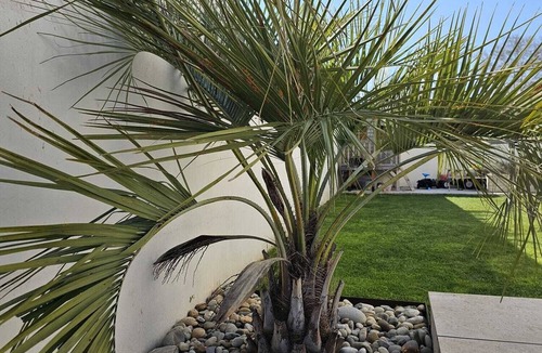 Fabregues House | Charming 160-square-meter villa with a pool and garden—10 minutes from the beach