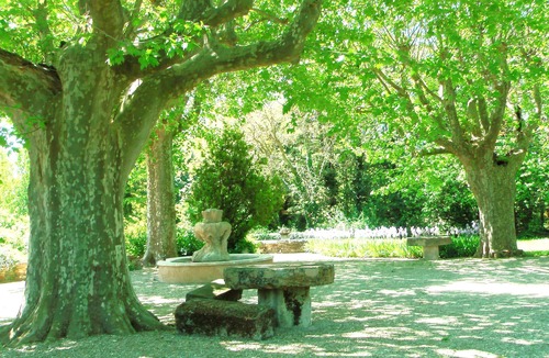Apt Apartment | Charming cottage with pool, fountains, mill, park and plane trees