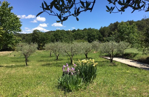 Buisson House | Charming Provencal farmhouse with swimming pool on 5ha - Absolute calm
