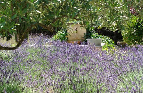 Lacoste Bed & Breakfast | Clos des Lavandes - Chambres et Suites de charme climatisées-Luberon