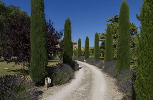 St.-Remy-de-Provence House | Country house with Provencal charm, quiet and not overlooked