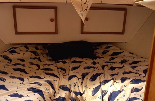 Saint-Gilles Boat Rental | Elegant 35m² houseboat with sheltered terrace for 4 people